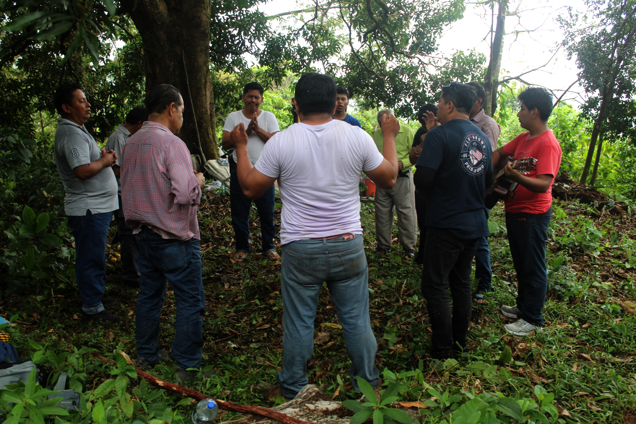 Salida a la Montaña